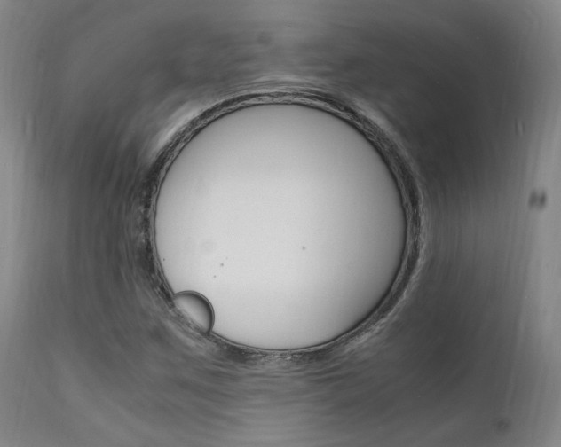 X0000112151259200908070954