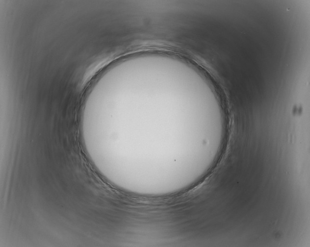 X0000112151261200908070954