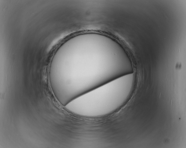 X0000112151262200908070954
