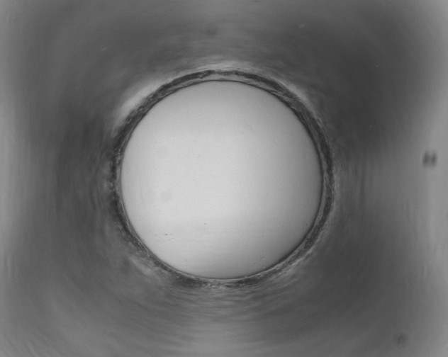 X0000112151263200908070954