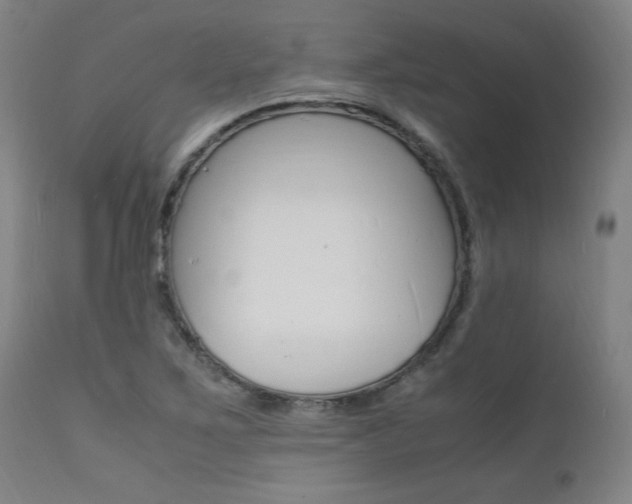 X0000112151267200908070954