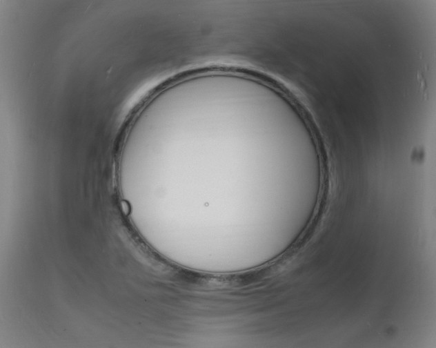 X0000112151271200908070954