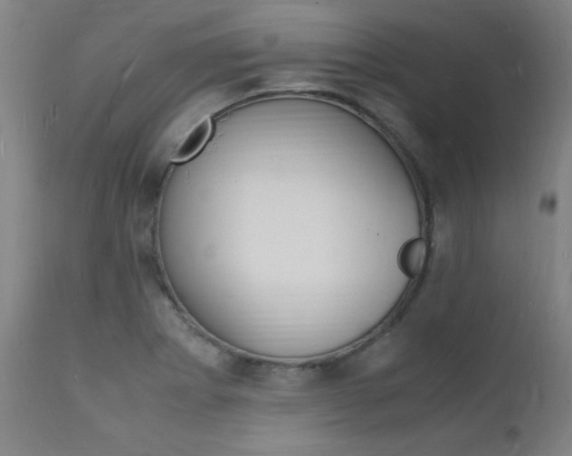 X0000112151273200908070954