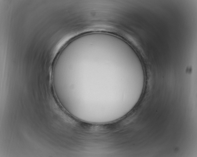 X0000112151275200908070954