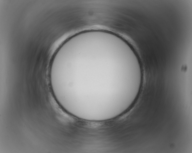 X0000112151278200908070954