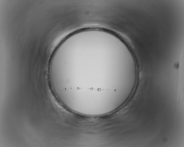 X0000112151279200908070954