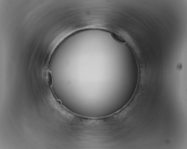 X0000112151284200908070954