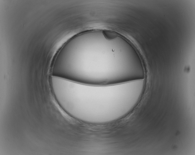X0000112151285200908070954