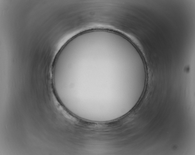 X0000112151287200908070954
