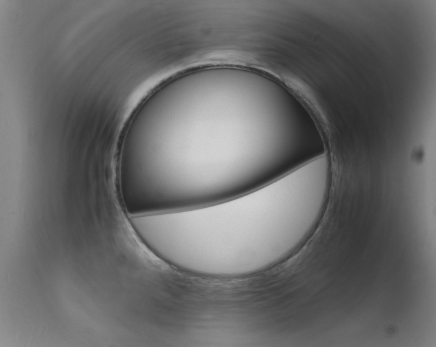 X0000112151288200908070954