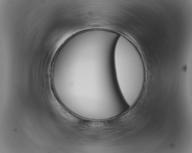 X0000112151291200908070954