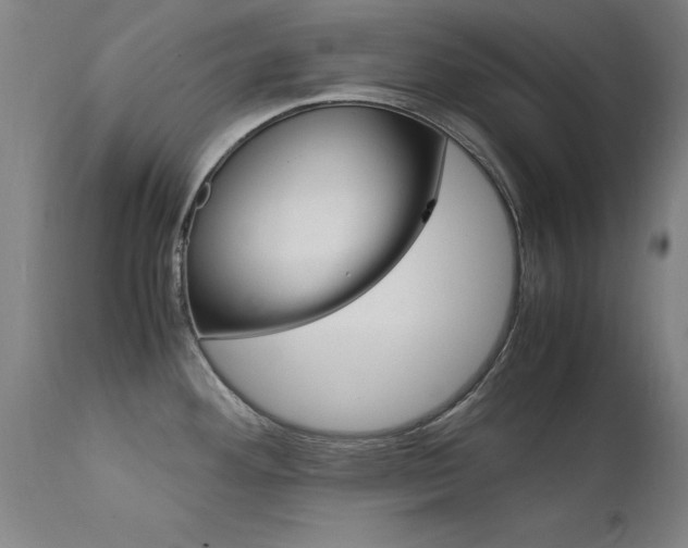 X0000112151292200908070954
