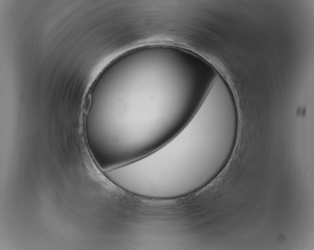 X0000112151296200908070953