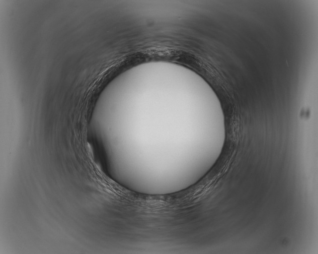 X0000112151297200908070953