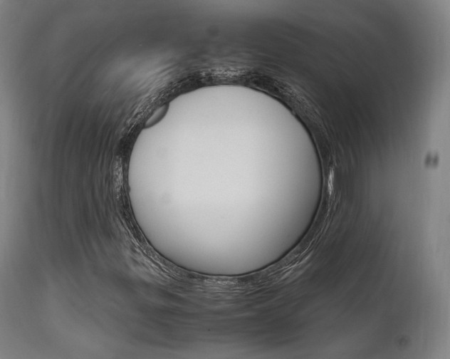 X0000112151299200908070953