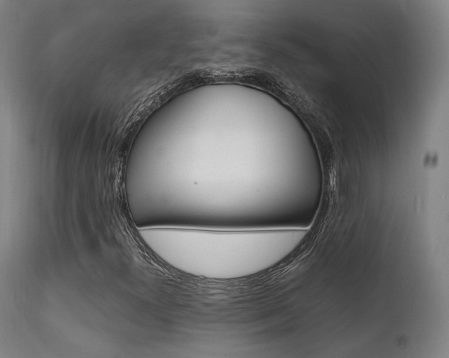 X0000112151300200908070953