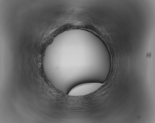 X0000112151301200908070953