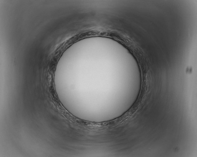 X0000112151302200908070953