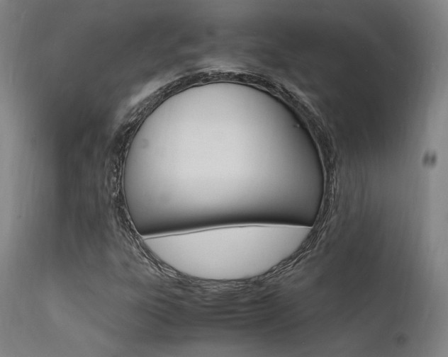 X0000112151303200908070953