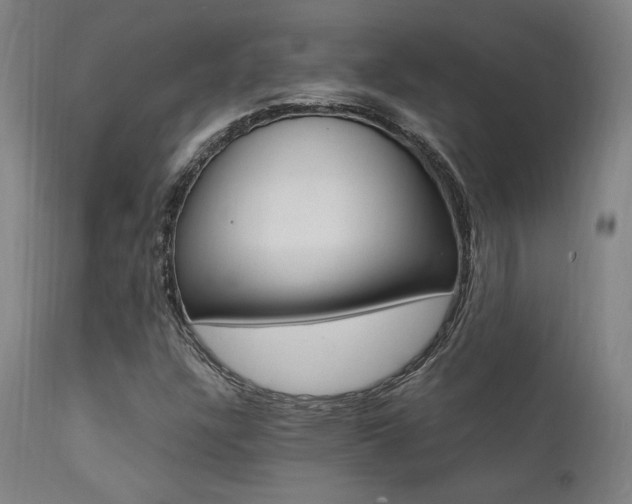 X0000112151304200908070953