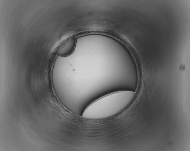 X0000112151307200908070953