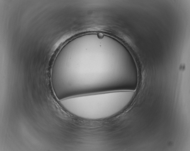 X0000112151308200908070953