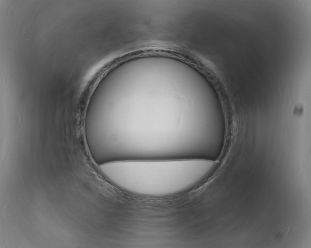 X0000112151310200908070953