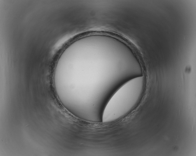 X0000112151311200908070953