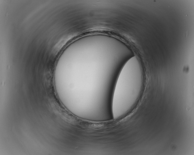 X0000112151313200908070953