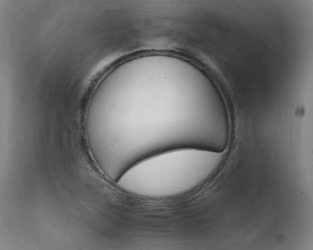 X0000112151315200908070953
