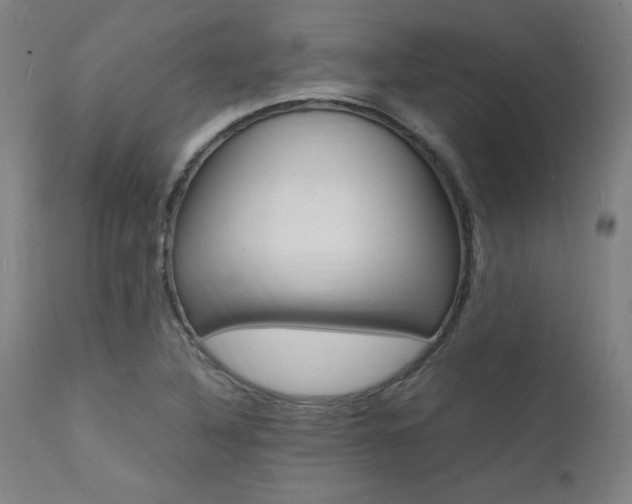 X0000112151316200908070953