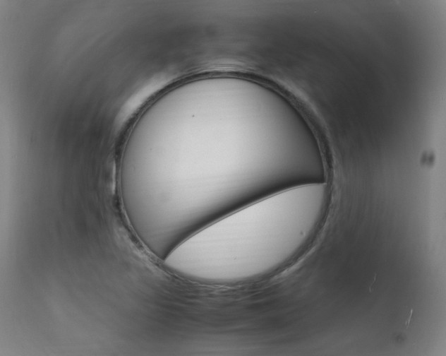 X0000112151317200908070953