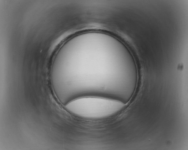 X0000112151318200908070953