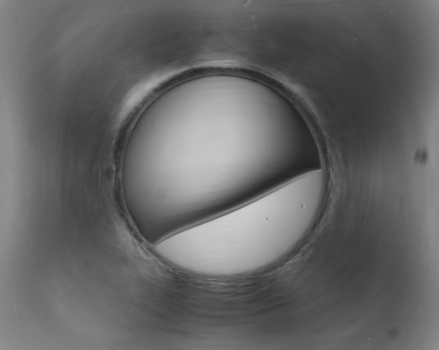 X0000112151319200908070953