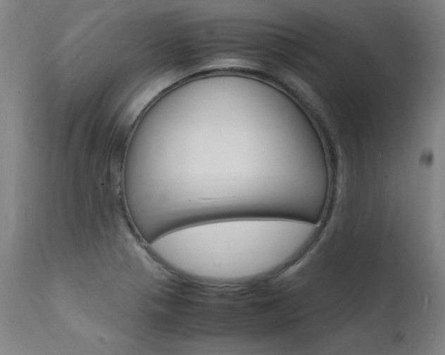 X0000112151321200908070953
