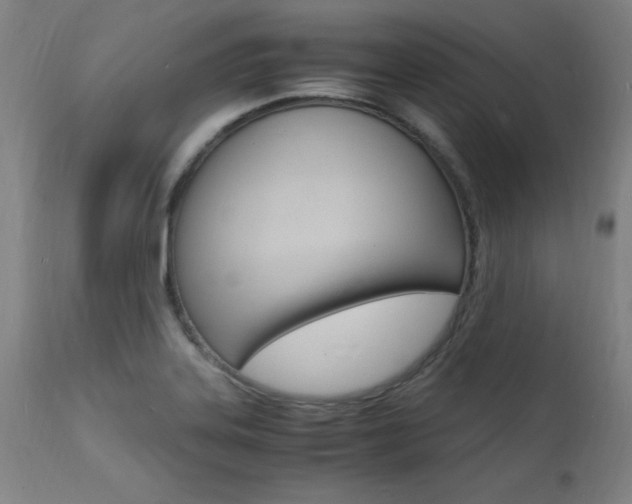 X0000112151323200908070953