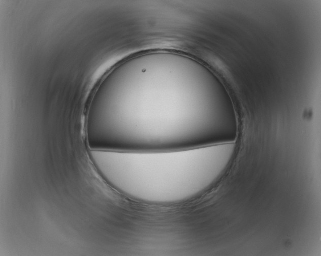 X0000112151324200908070953