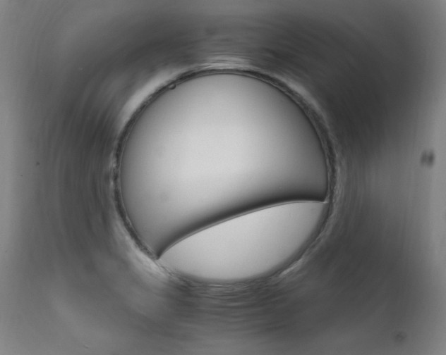 X0000112151325200908070953