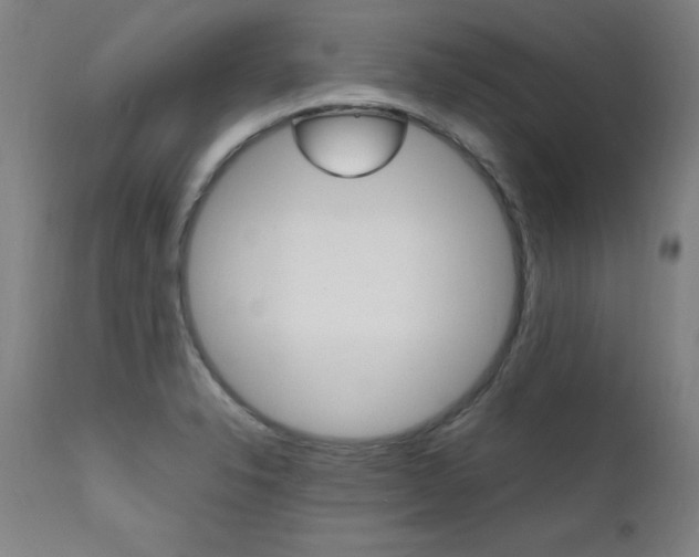 X0000112151326200908070953