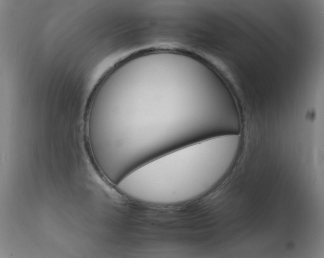 X0000112151327200908070953