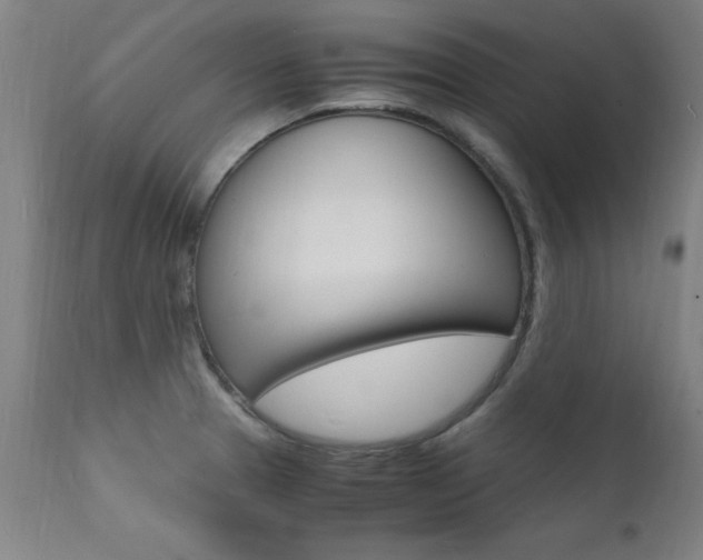 X0000112151329200908070953