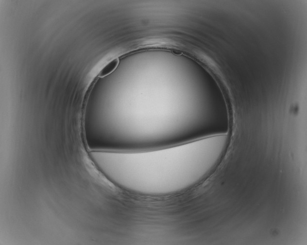 X0000112151330200908070953