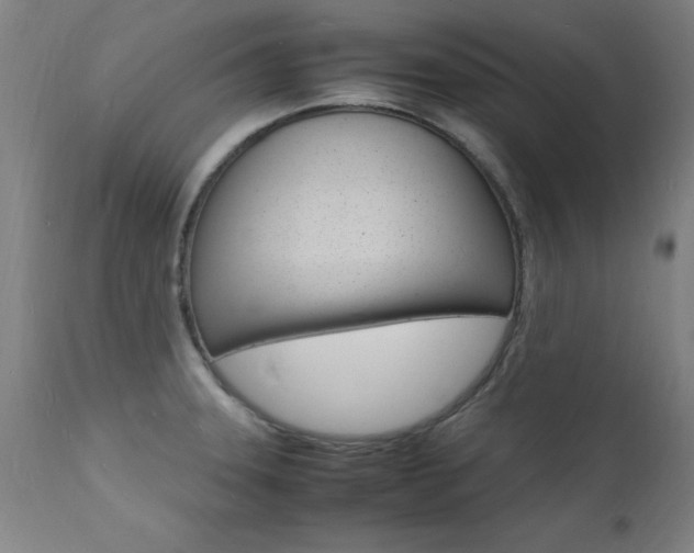X0000112151331200908070953