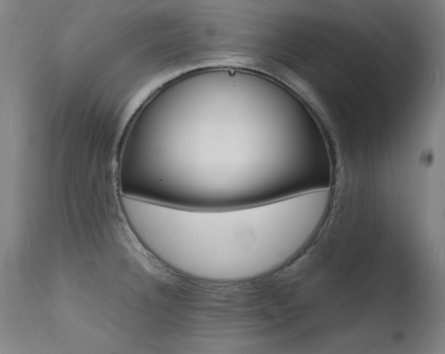 X0000112151332200908070953