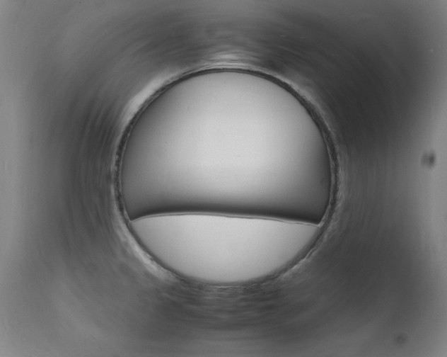 X0000112151333200908070953