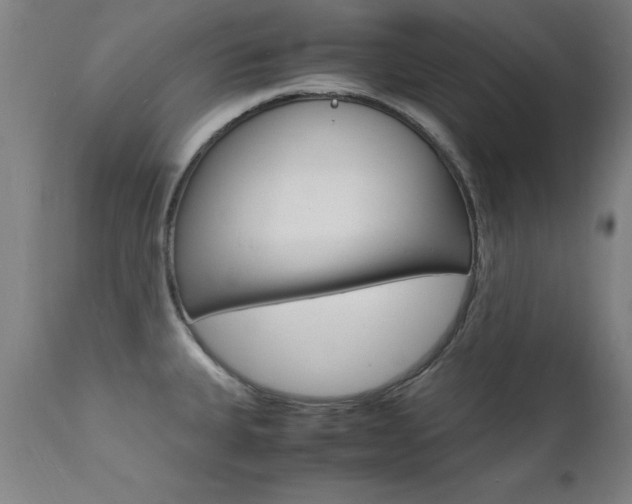X0000112151335200908070953