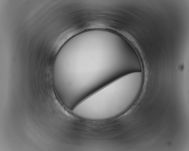 X0000112151337200908070953