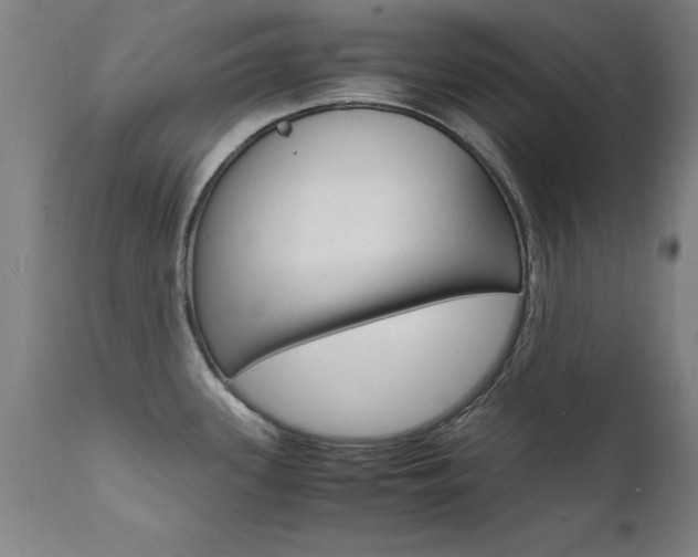 X0000112151339200908070953