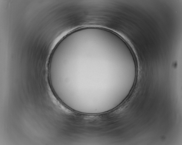 X0000112151341200908070953
