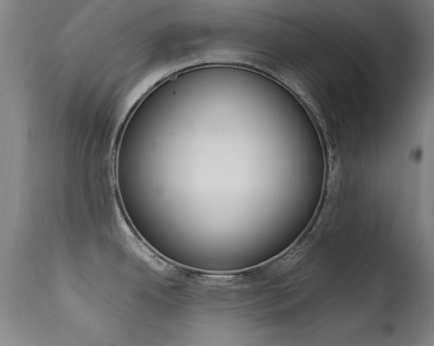 X0000112151342200908070953
